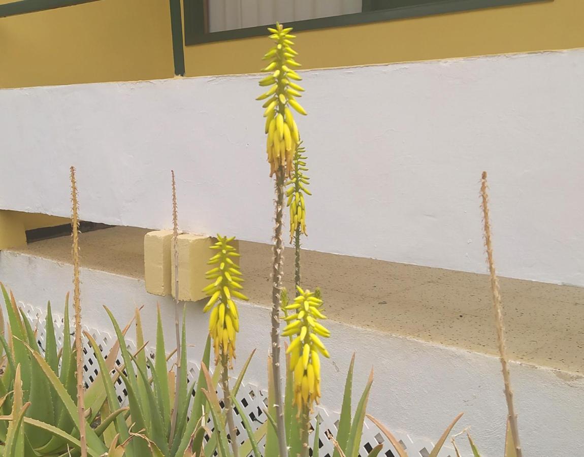 Appartamento Caroni Playa del Inglés Esterno foto